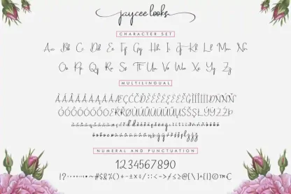 Jaycee Looks Font