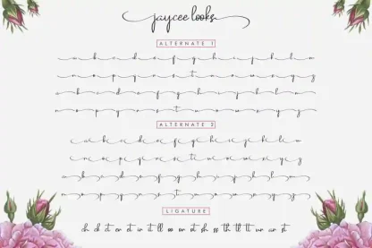 Jaycee Looks Font