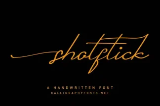 Shotflick