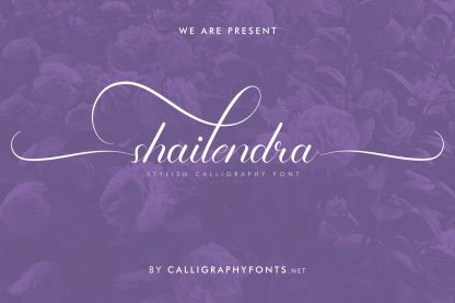 Shailendra Font - Image 15