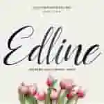 Edline