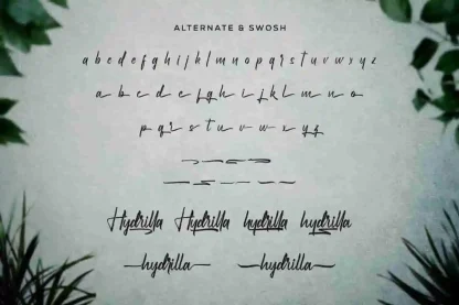Hydrilla