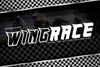 WingRace