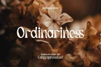 Ordinariness