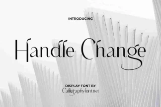 Handle Change