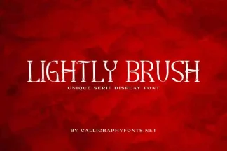 Lightly Brush