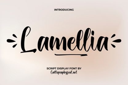 Lamellia Script Font - Image 10