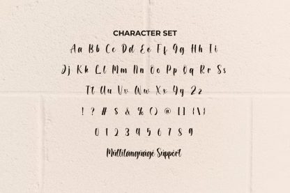 Lamellia Script Font - Image 3