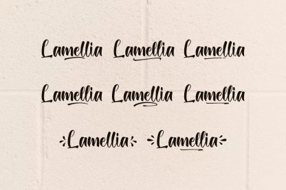 Lamellia Script Font - Image 7