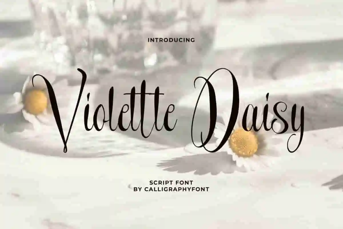 Violette Daisy