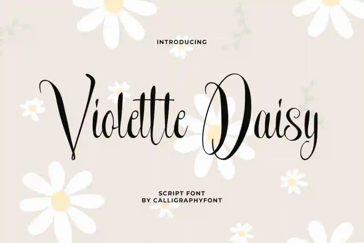 Violette Daisy