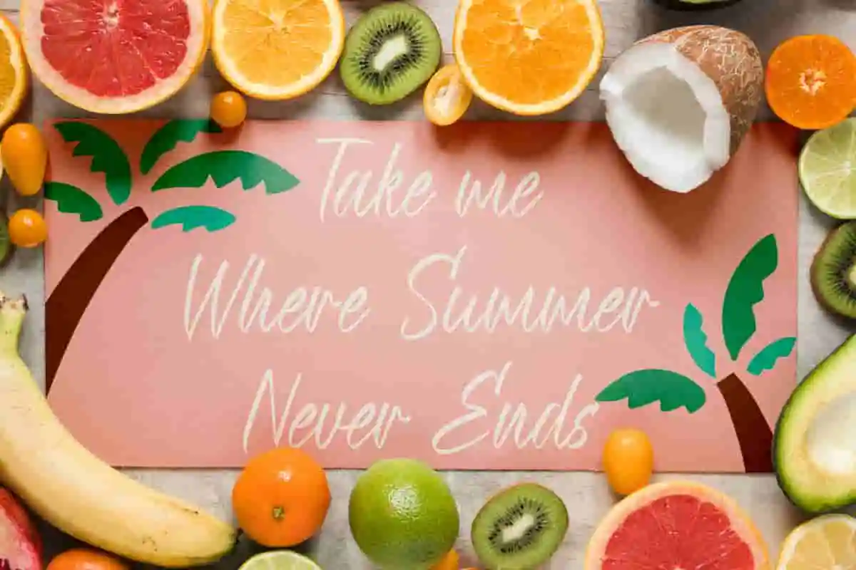 mellow summer