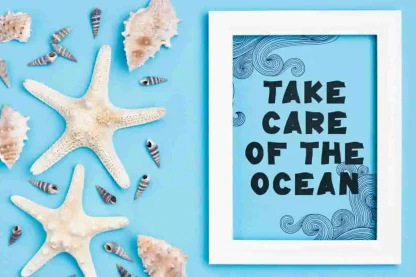 Ocean Series