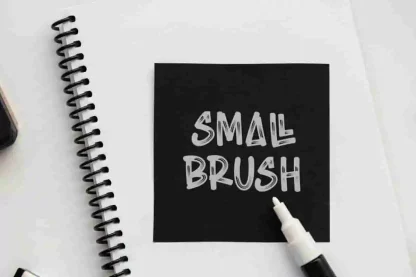 Small Brush