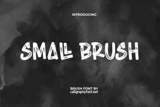 Small Brush