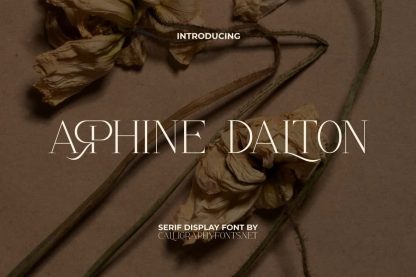 Arphine Dalton Font - Image 10