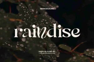 Raindise