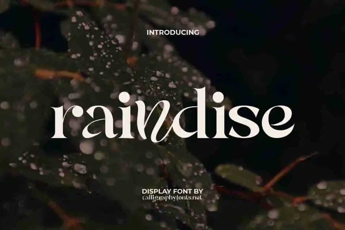 Raindise