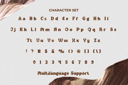 Eliana Magnolia Font - Image 5