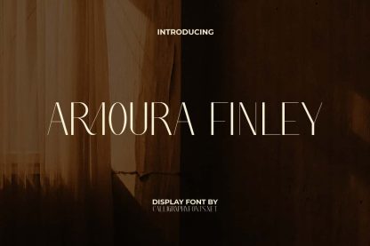 Armoura Finley Font - Image 10