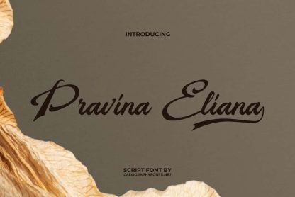 Pravina Eliana Font - Image 10