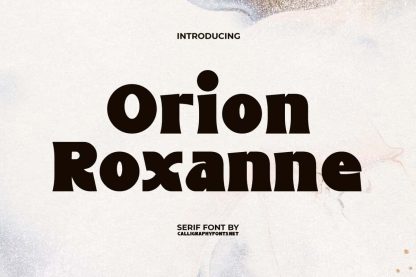 Orion Roxanne Font - Image 9