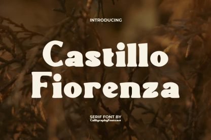 Castillo Fiorenza Font - Image 9