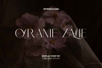 Cyranie Zalie Font - Image 9