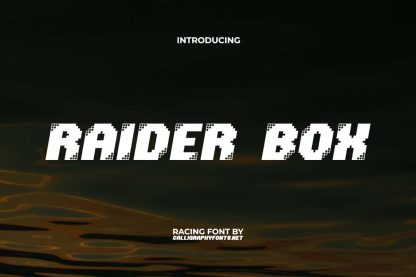 Raider Box Font - Image 9